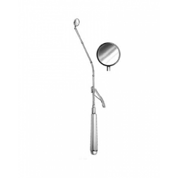 Laryngo-Bronchoscopy